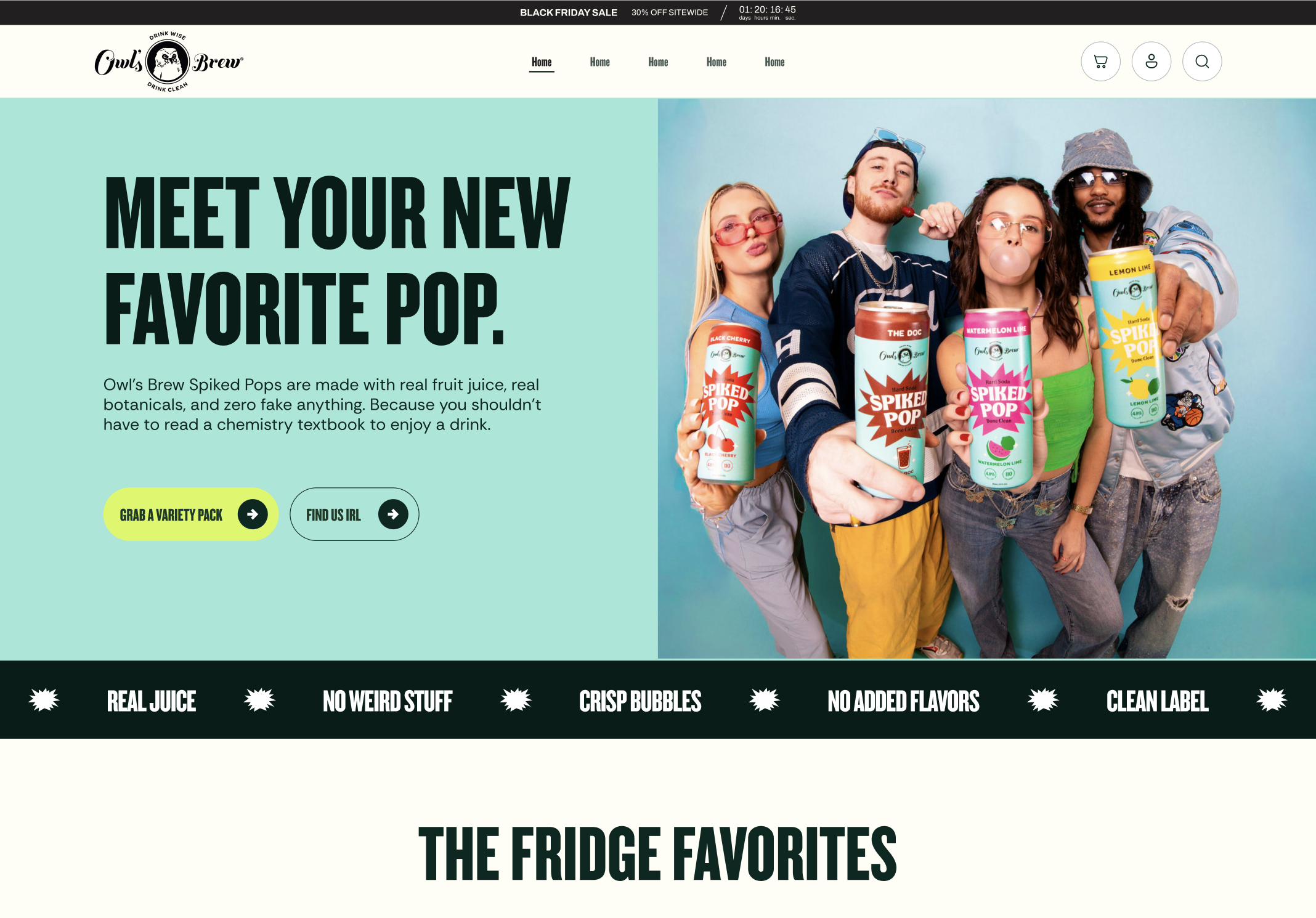 Owl's Brew website homepage